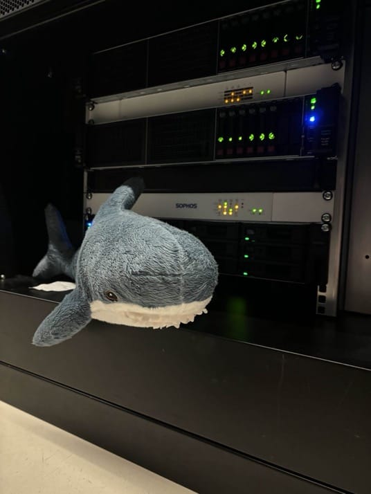image of a Blahaj in front of servers